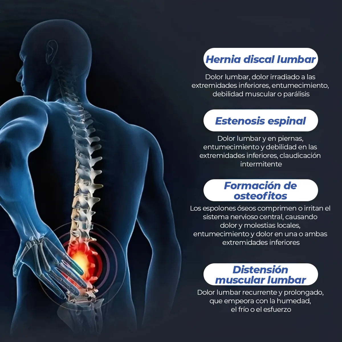 Faja Cinturon Termico - Soporte Lumbar - corretor postural + guía para adelgazar con descuentos exclusivos